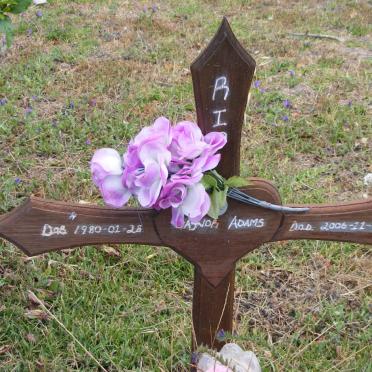 ADAMS Gaynor 1980-2006