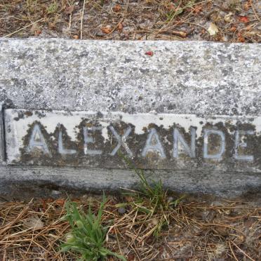 ALEXANDER