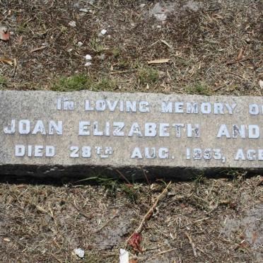 ANDREWS Joan Elizabeth -1953