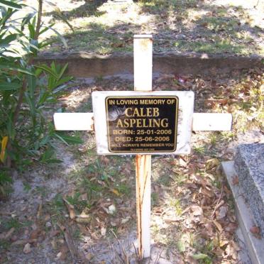 ASPELING Caleb 2006-2006