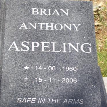 ASPELING Brian Anthony 1960-2006