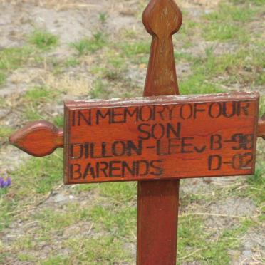 BARENDS Dillon-Lee 1998-2002