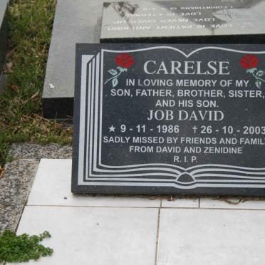 CARELSE Job David 1986-2003