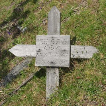 COX Yelora 