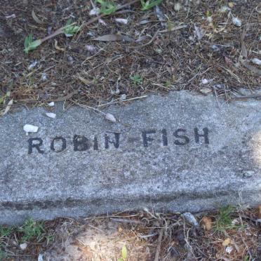 FISH Robin