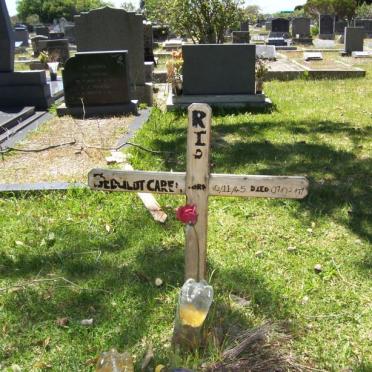 GEDULDT Carel 1945-2007