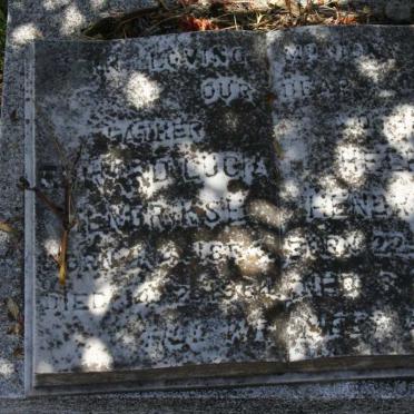 HENDRIKSE Edward Lu? 1854-1954 &amp; ?