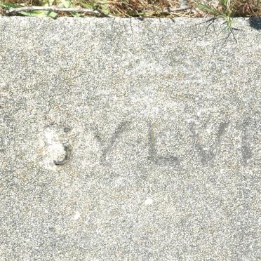 HEYNS Sylvia