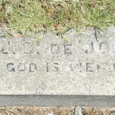 JONG J.G., de