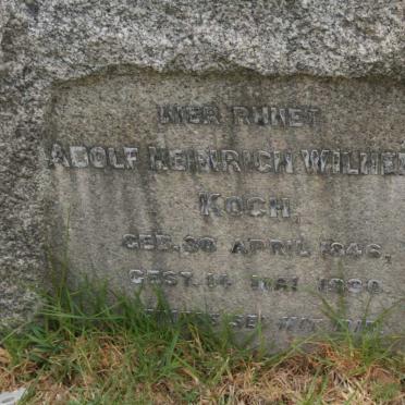 KOCH Adolf Heinrich Wilhelm 1846-1930