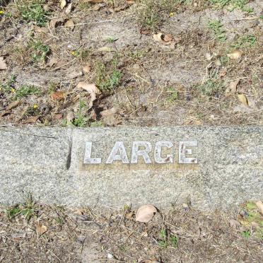 LARGE ?