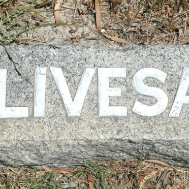 LIVESAY