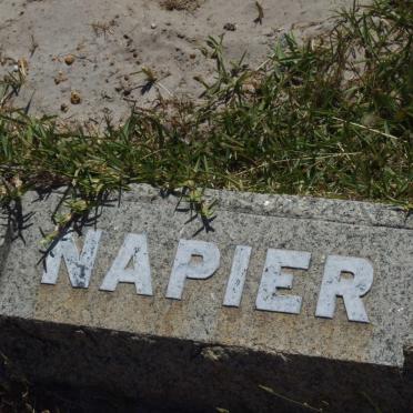 NAPIER ?