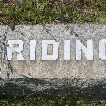 RIDING ?