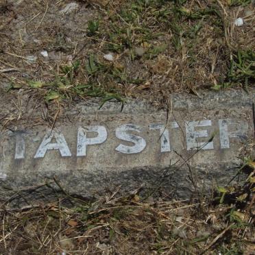 TAPSTER ?