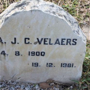 VELAERS A.J.G. 1900-1981
