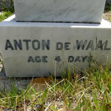 WAAL Anton, de