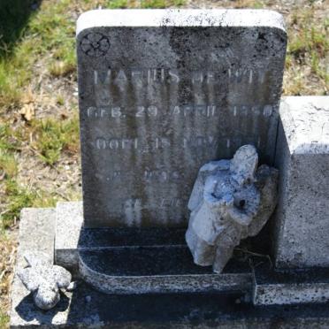 WIT Marius, de 1950-1951