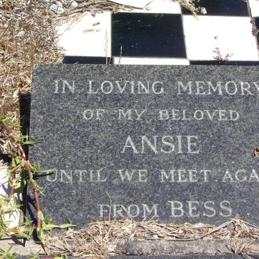 ? Ansie