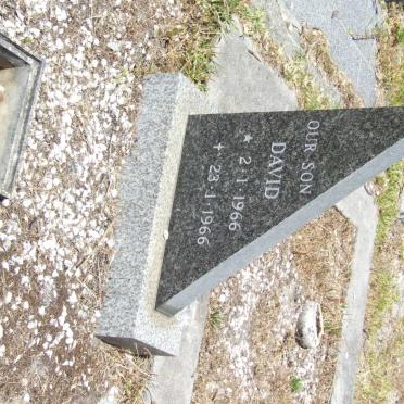 ? David 1966-1966