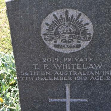 WHITELAW T.P. -1919