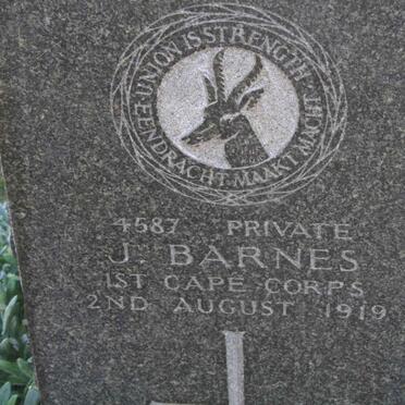 BARNES J. -1919