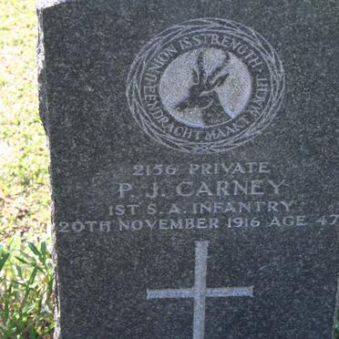 CARNEY P.J. -1916