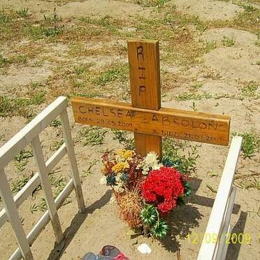 ABSOLON Chelsea 2008-2009