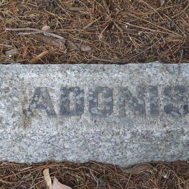 ADONIS