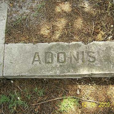 ADONIS ?