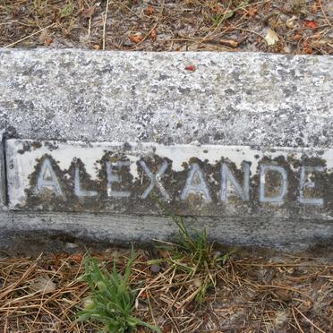 ALEXANDER