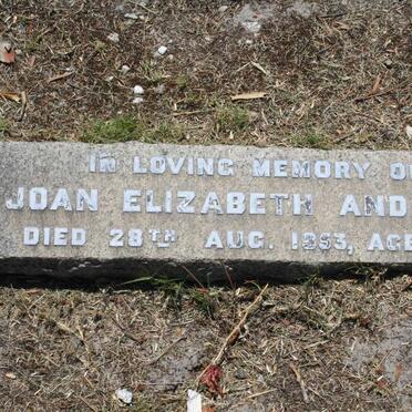 ANDREWS Joan Elizabeth -1953