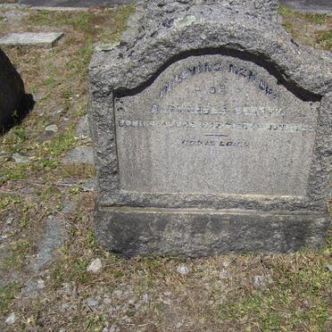 BEATTY Alexander 1872-1935