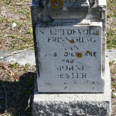 BESTER Morné 1959-1959