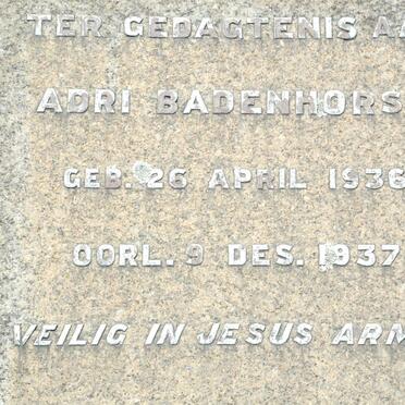 BADENHORST Adri 1936-1937