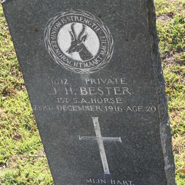 BESTER J.H. -1916