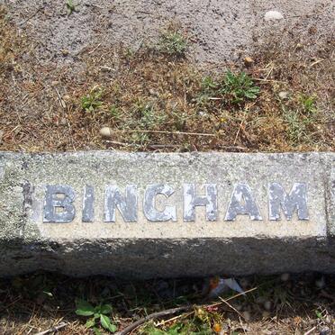 BINGHAM 