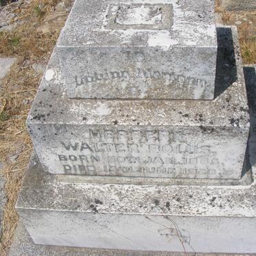 BOLUS Herbert Walter 1865-1928