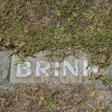BRINK ?