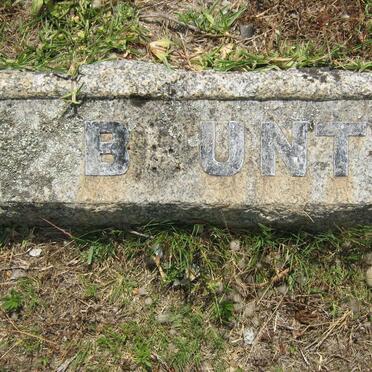 BRUNT