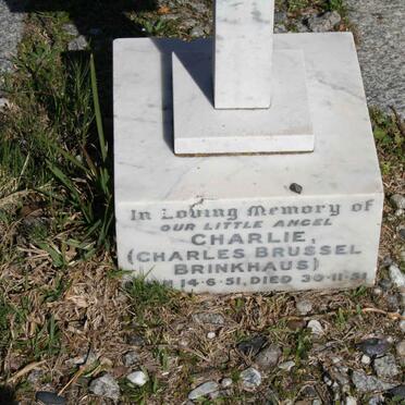 BRINKHAUS Charles Brussel 1951-1951