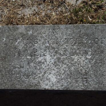 BUDD Harry :: BUDD Joey