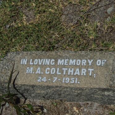COLTHART M.A. -1951