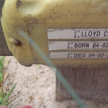 CLOETE Lloyd 1986-2007