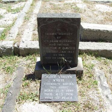 DAVIES Walter -1953 :: WHITE Alice Evelyn formerly DAVIES nee AMEY 1889-1976