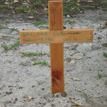 Da / D'A - Surnames starting with the letters Da / D'A