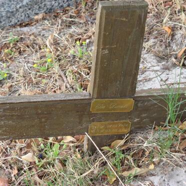 DAVIDS Eva 1958-2008