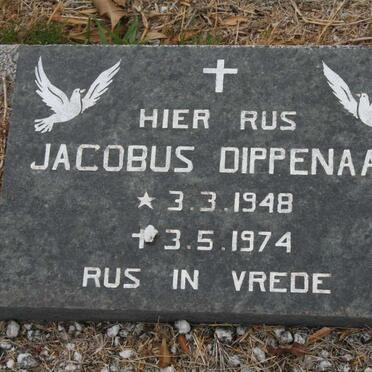 Di - Surnames starting with the letters Di