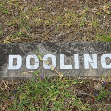 DOOLING