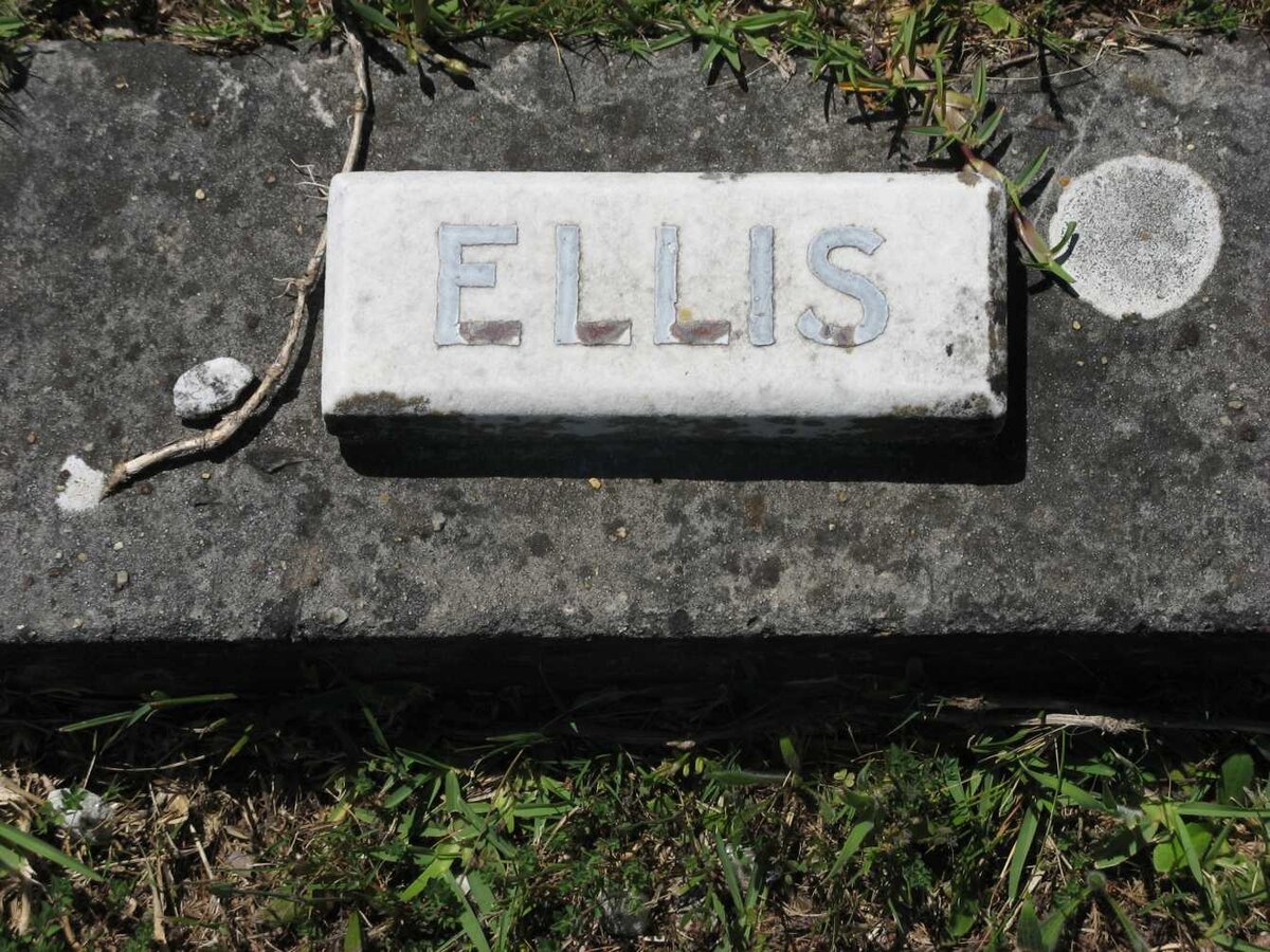 ELLIS ?